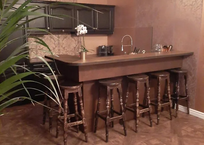 Apartamento Center With Private Garden And 2 Bicycles