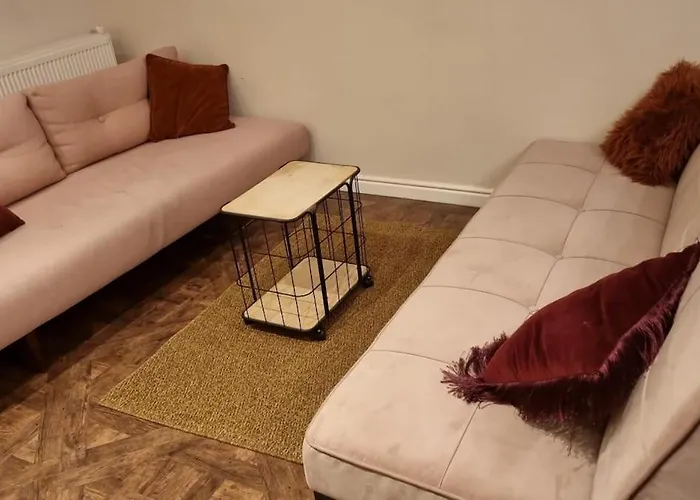 Apartamento Center With Private Garden And 2 Bicycles Gouda