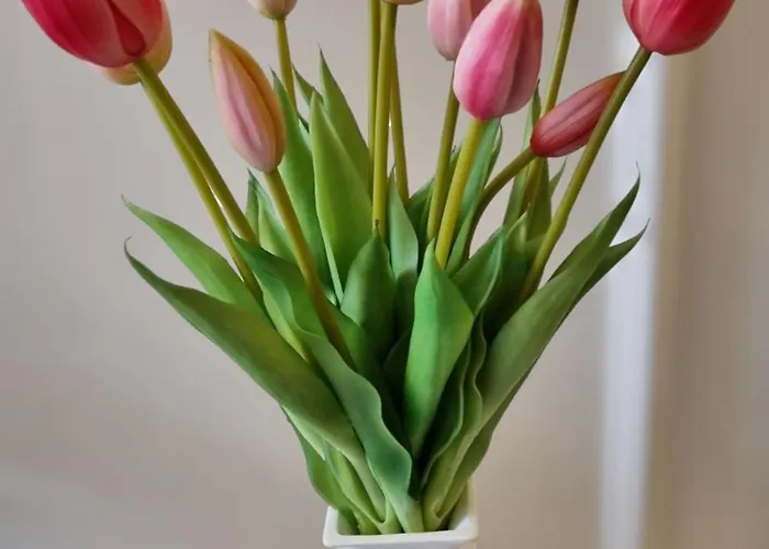 Apartamento Center With Private Garden And 2 Bicycles *