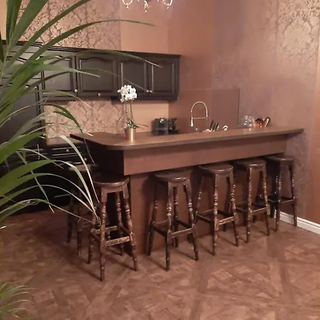 Apartman Center With Private Garden And 2 Bicycles