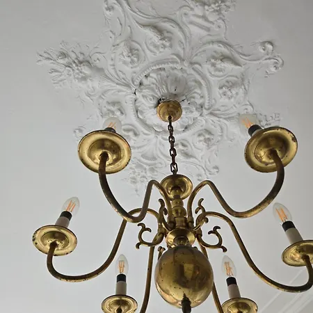 Apartman Center With Private Garden And 2 Bicycles Gouda