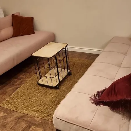 Apartman Center With Private Garden And 2 Bicycles Gouda