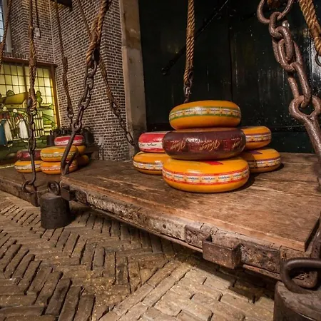 Apartman Center With Private Garden And 2 Bicycles