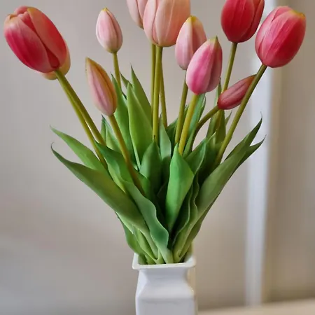 Apartman Center With Private Garden And 2 Bicycles *